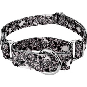 Country Brook Petz Phantom Skulls Martingale Dog Collar (5/8 Inch, Small) - 1 of 4