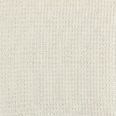 Classic Off-White Waffle Weave Tassel Trim Throw, 50"x60"