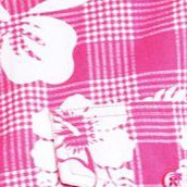 raspberry sorbet tropical gingham