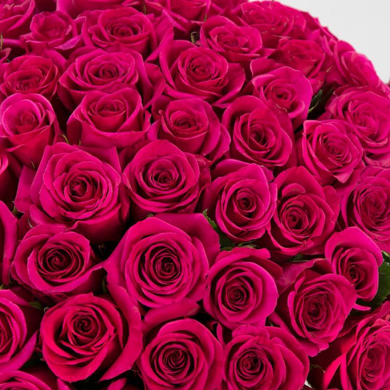 Fresh Cut 100-stem Hot Pink Rose Bouquet, 5 of 7