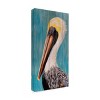 K.C. Grapes 'Pelican On Wood Pickets' Canvas Art - 2 of 4