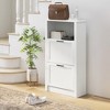 Aghana Digitals Farmhouse Slim Shoe Cabinet with 2 Flip Drawers, Adjustable Shelves, Distressed - 3 of 4