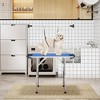 ROOMTEC Adjustable Dog Grooming Table, Foldable Home Pet Grooming Tables with Arm/Noose/Mesh Tray - 3 of 4