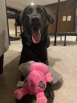 Guest review image 1 of 2, zoom in