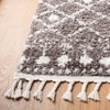 Berber Fringe Shag BFG519 Power Loomed Indoor Rugs - Safavieh - 3 of 4