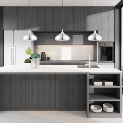 Mini Brushed Aluminum 1-Light Indoor/Outdoor Pendant