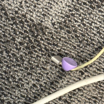 Guest review image 2 of 2, zoom in