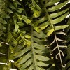 35" Artificial Fern Wreath - National Tree Company - 4 of 4