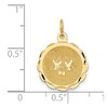 Black Bow Jewelry 14k Yellow Gold Love Birds Disc Charm or Pendant, 16mm - 4 of 4