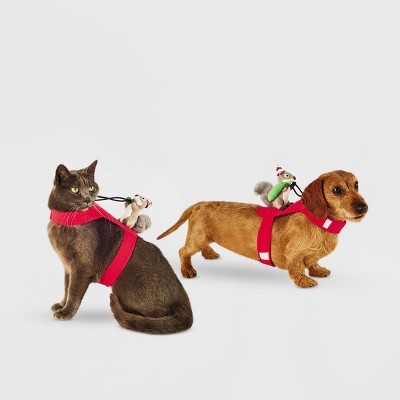 Santa Squirrel Rider Dog And Cat Costume - Wondershop™ : Target