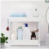 Racxily 2 Tier Pull Out Slide Shelf Organizer for Under Sink Cabinets in Kitchen - 2 of 4