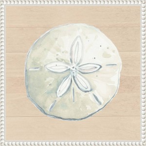 Amanti Art 16"x16" Sand Dollar on Wood Background by Patricia Pinto: Nautical Theme, Polystyrene Frame, Wall Decor - 1 of 4
