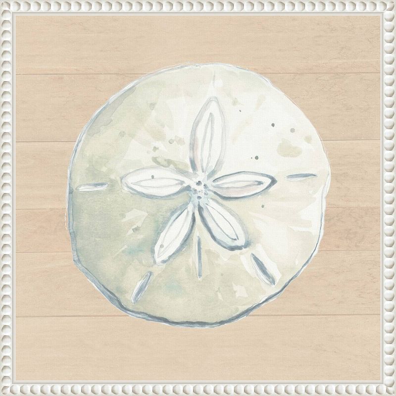 Amanti Art 16&#34;x16&#34; Sand Dollar on Wood Background by Patricia Pinto Framed Canvas Wall Art Print, 1 of 7