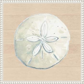 Amanti Art 16"x16" Sand Dollar on Wood Background by Patricia Pinto Framed Canvas Wall Art Print