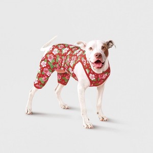 Warm Weather Lightweight Dog Pajamas - Boots & Barkley™ - 1 of 3