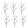 Birch Twig Branch (Set of 6) - 2 of 4
