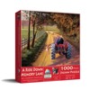 Sunsout A Ride Down Memory Lane 1000 pc   Jigsaw Puzzle 50161 - 2 of 4