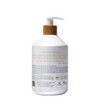 Raw Sugar Simply Hand Wash Vanilla Bean + Sugar - 16.9 fl oz - image 2 of 4