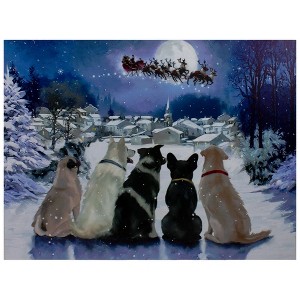 Northlight LED Lighted Fiber Optic Dogs and Santa's Sleigh Christmas Wall Art 12" x 15.75" - 1 of 4