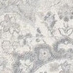 ivory/beige