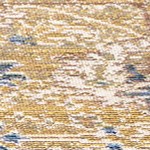 blue/gold
