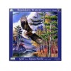 Sunsout Boundary Waters 500 pc   Jigsaw Puzzle 28403 - 3 of 4