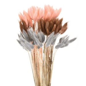 Unique Bargains Natural Dried Floral Bunny Tail Artificial Plants 17" 120 Pcs - 1 of 4