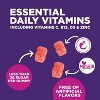Multivitamin Gummies - Nature's Daily Gummy Multivitamins for Adults, Women & Men with Vitamins A, C, E, B6, B12, and Minerals - 120 Gummies - 4 of 4
