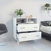 Maliang Dresser with 2-Drawer and 2-Shelf - 4 of 4
