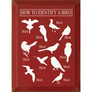 Slickblue Bird Guide Wooden Sign, Knotty Pine 9x12 Inch Wall Decor, Rustic Style, Color Options - 1 of 3