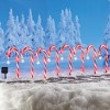Collections Etc Solar Candy Cane Path-light Stakes - Set of 8 - 2 of 2