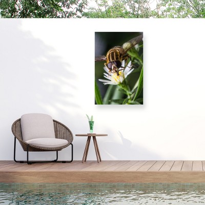 Trademark Fine Art - Steven Ellingson Pray On Flowers Matted Framed Art