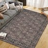 Washable Area Rugs for Living Room Bedroom Area Rug Boho Vintage Rugs Slip Low Pile Soft Lightweight Carpet Indoor - 3 of 4