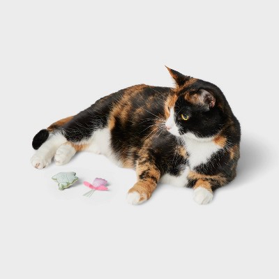 Frog and Flower Cat Plush Toy Set - 2pk - Boots &#38; Barkley&#8482;