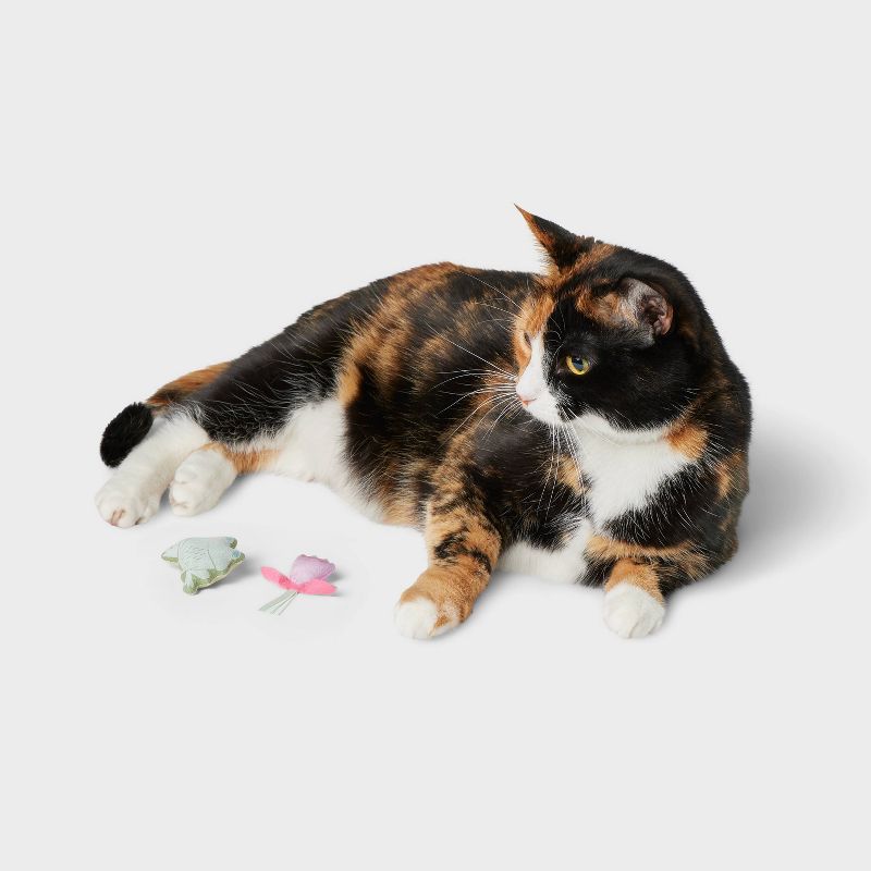 Frog and Flower Cat Plush Toy Set - 2pk - Boots &#38; Barkley&#8482;, 2 of 4