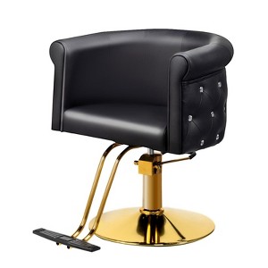 Karl Home Black Gold Modern Heavy Duty Hydraulic Swivel Hair Stylist Salon Chair with Curved Backrest - 1 of 4