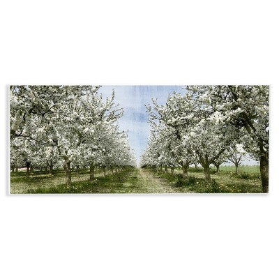 Stupell Industries Blooming White Tree Orchard, 17" x 7"