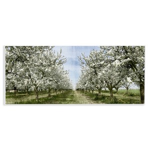Stupell Industries Blooming White Tree Orchard, 17" x 7" - 1 of 4