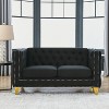 TiramisuBest 58.8" 2-Seater Tufted Velvet Sofa with Rolled Arms & Nailhead Trim, Black for Living Room,Bedroom & Office-2 Pillows - 2 of 4