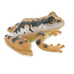 Collectible Wildlife Gifts | Frog, Brown & Black, Amphibians, High Quality, Hand Painted, Rubber, Realistic, Model,  Toy, Gift,  2 1/2"   RI33 B177 - 1 of 4