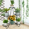 Artloge 6 Tier Vertical Black Metal Corner Plant Stand Flower Pots Display Rack Storage Shelf for Patio Balcony Yard Home Garden Decor - 3 of 4