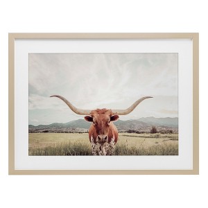 Stupell Industries Longhorn Portrait Open Meadow Framed Print Under Glass Art - 1 of 4
