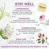 Bigelow Stay Well Lemon and  Echinacea Herbal Tea case of 6/18 - 2 of 4