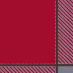 tampa bay buccaneers