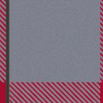 tampa bay buccaneers