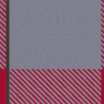 tampa bay buccaneers