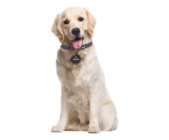 Pawscout Smarter Dog Tag - Black