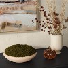 Faux Moss Bowl - Threshold™ - 2 of 4
