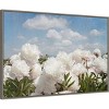 Amanti Art 33"x23" Peony Sunshine I by Georgianna Lane Framed Canvas Wall Art Print: Botanical Scene with Clouds - 2 of 4