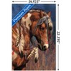 Trends International Laurie Prindle - War Pony Unframed Wall Poster Prints - 3 of 4